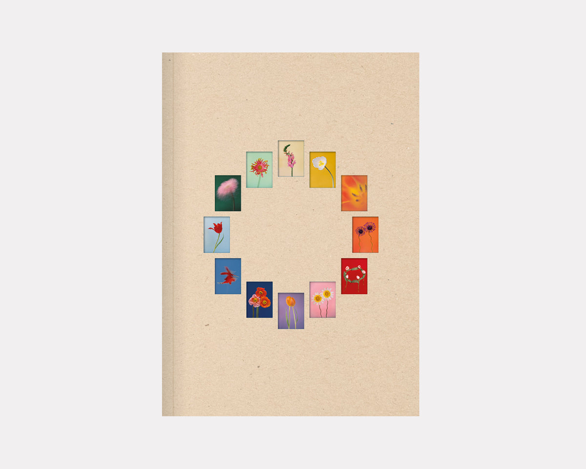 The Chromatics of Flowers, Paula Codoner