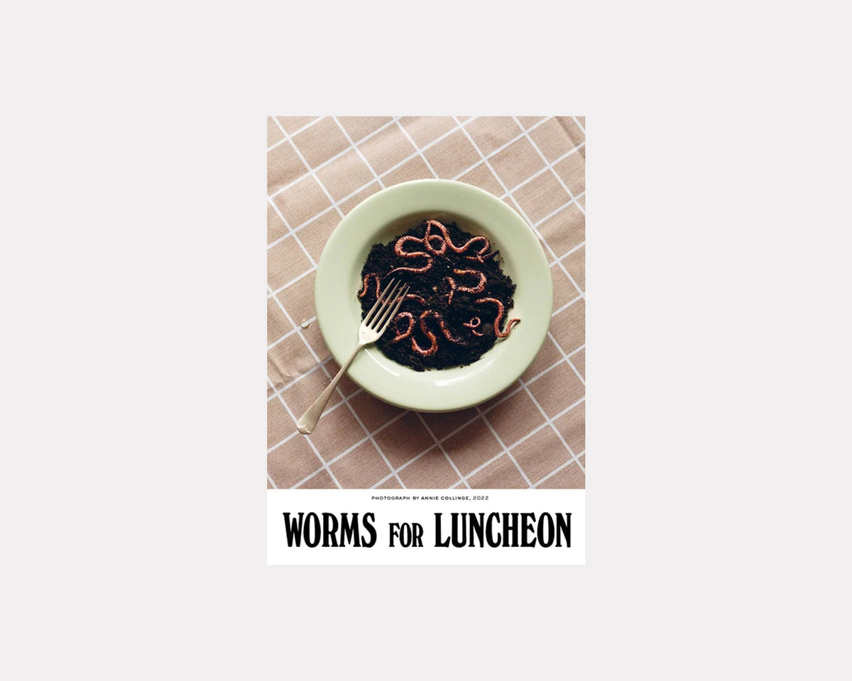 Worms For Luncheon