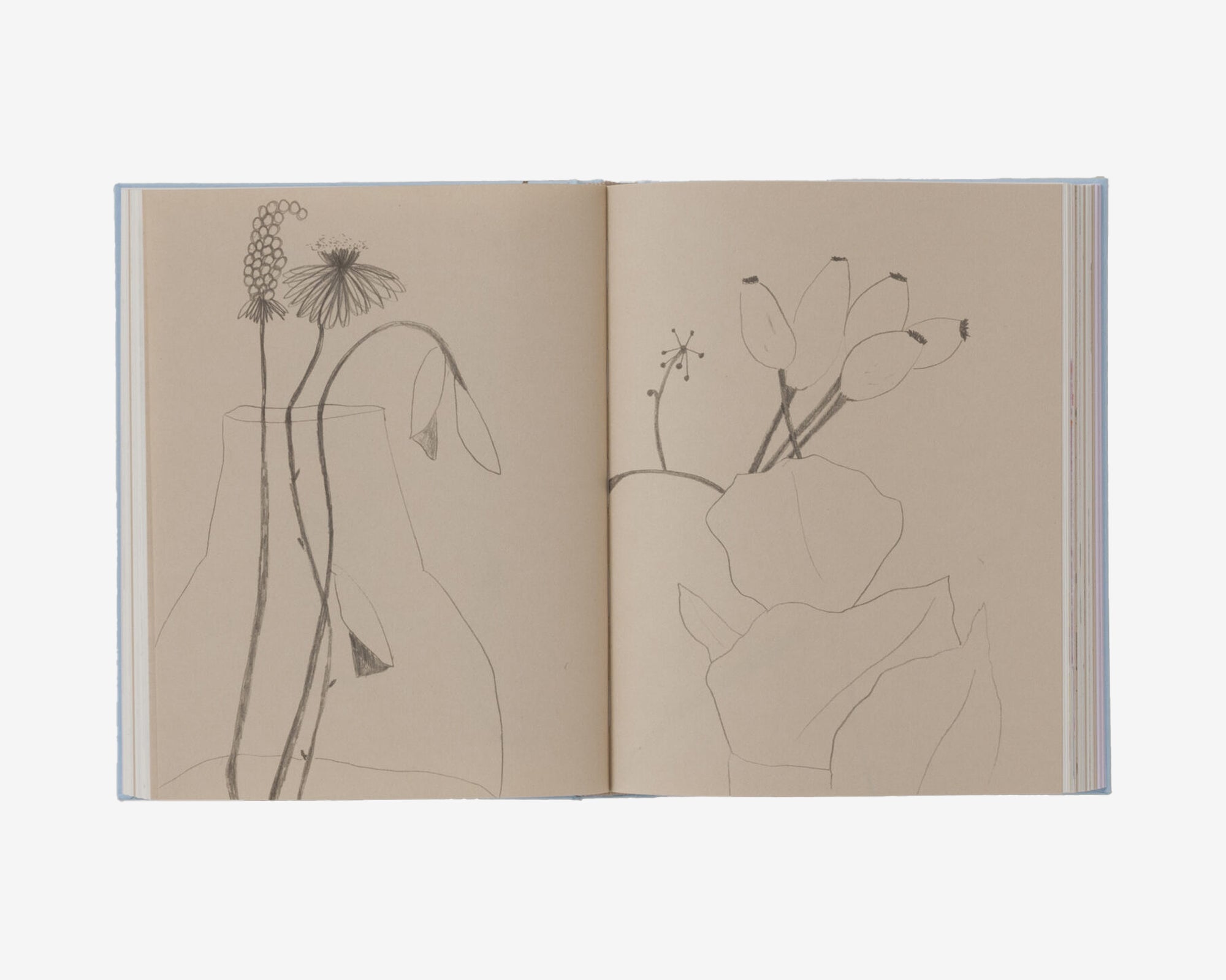 Carnets, Johanna Tagada Hoffbeck