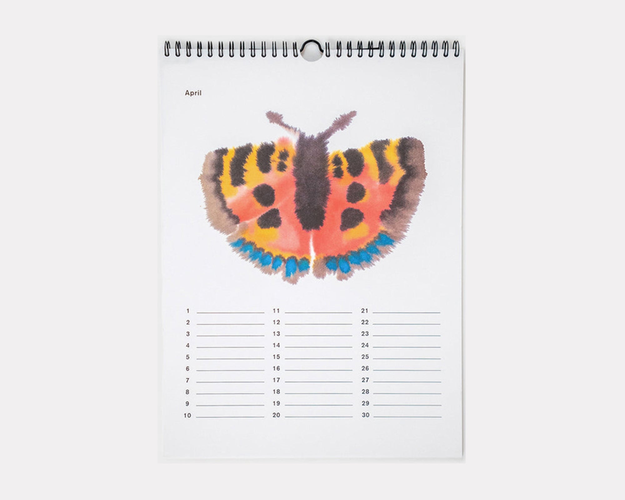 Calendar Rop Wild Animals Calendar - Rop van Mierlo – Pan After