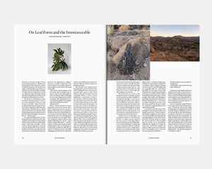 The Plant Magazine 23