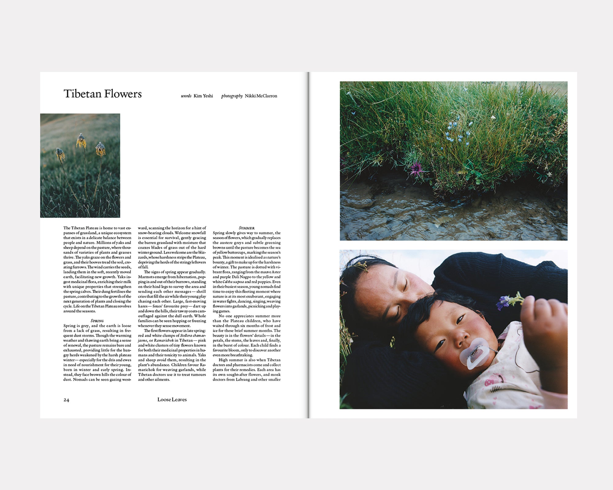 The Plant Magazine 23