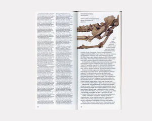 Real Review Magazine 16
