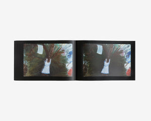 Slides of a Changing Painting, Robert Gober