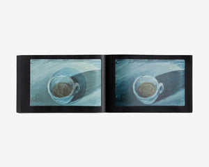 Slides of a Changing Painting, Robert Gober