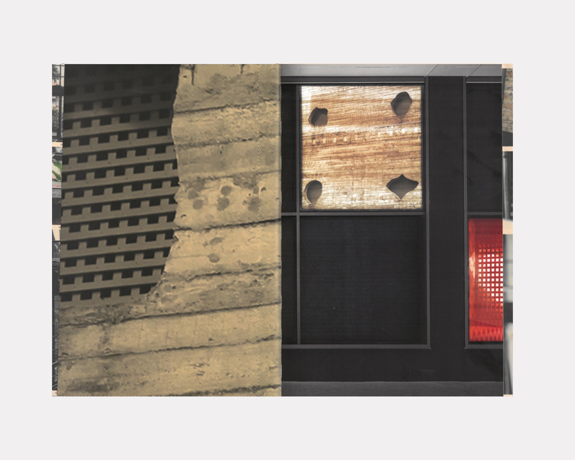 Wild Windows, Veronika Kellndorfer