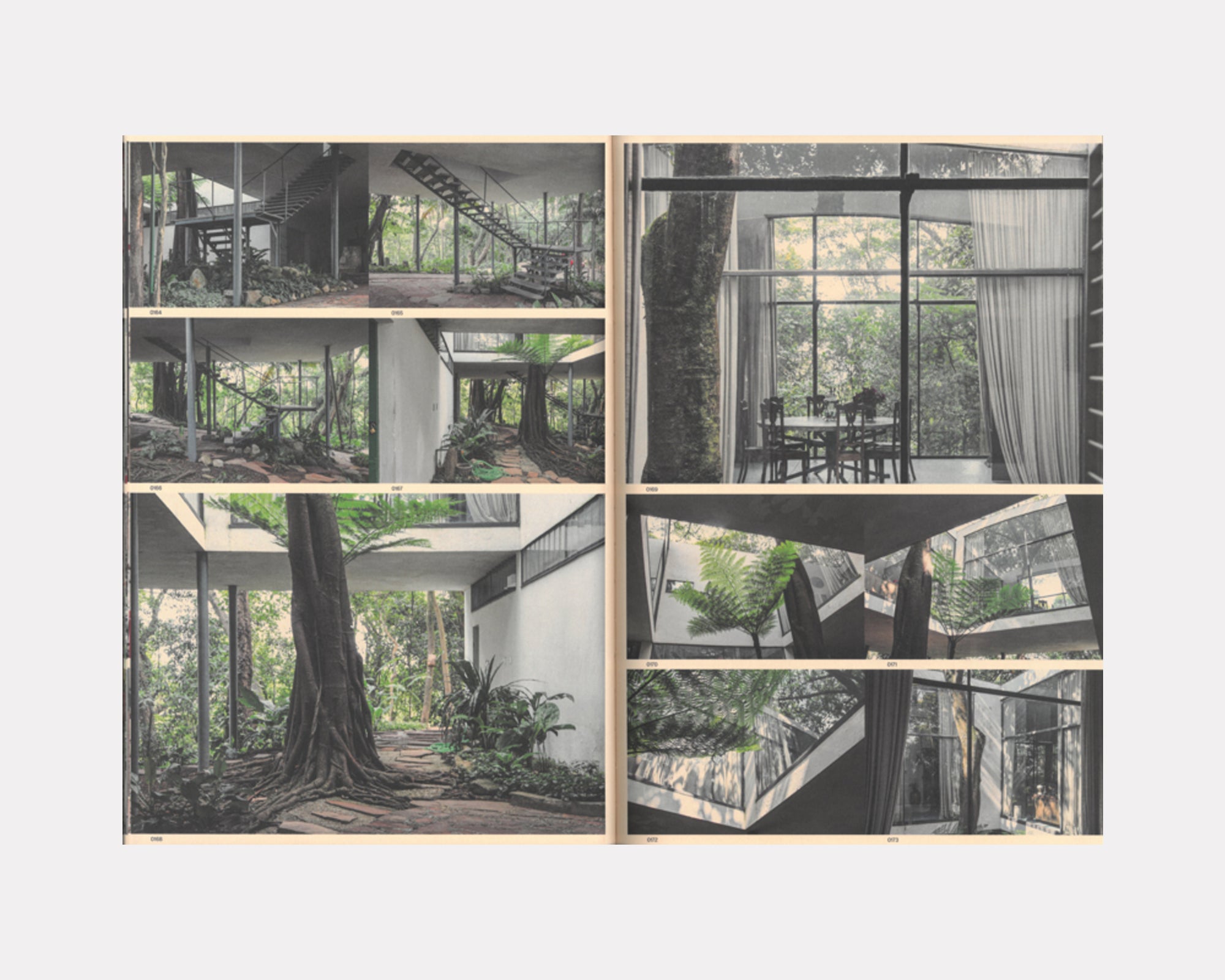 Wild Windows, Veronika Kellndorfer