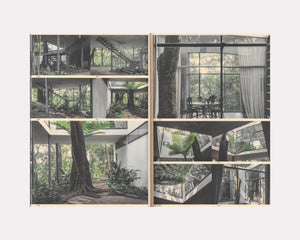 Wild Windows, Veronika Kellndorfer