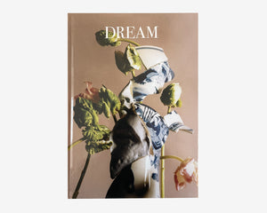 Dream Magazine 04