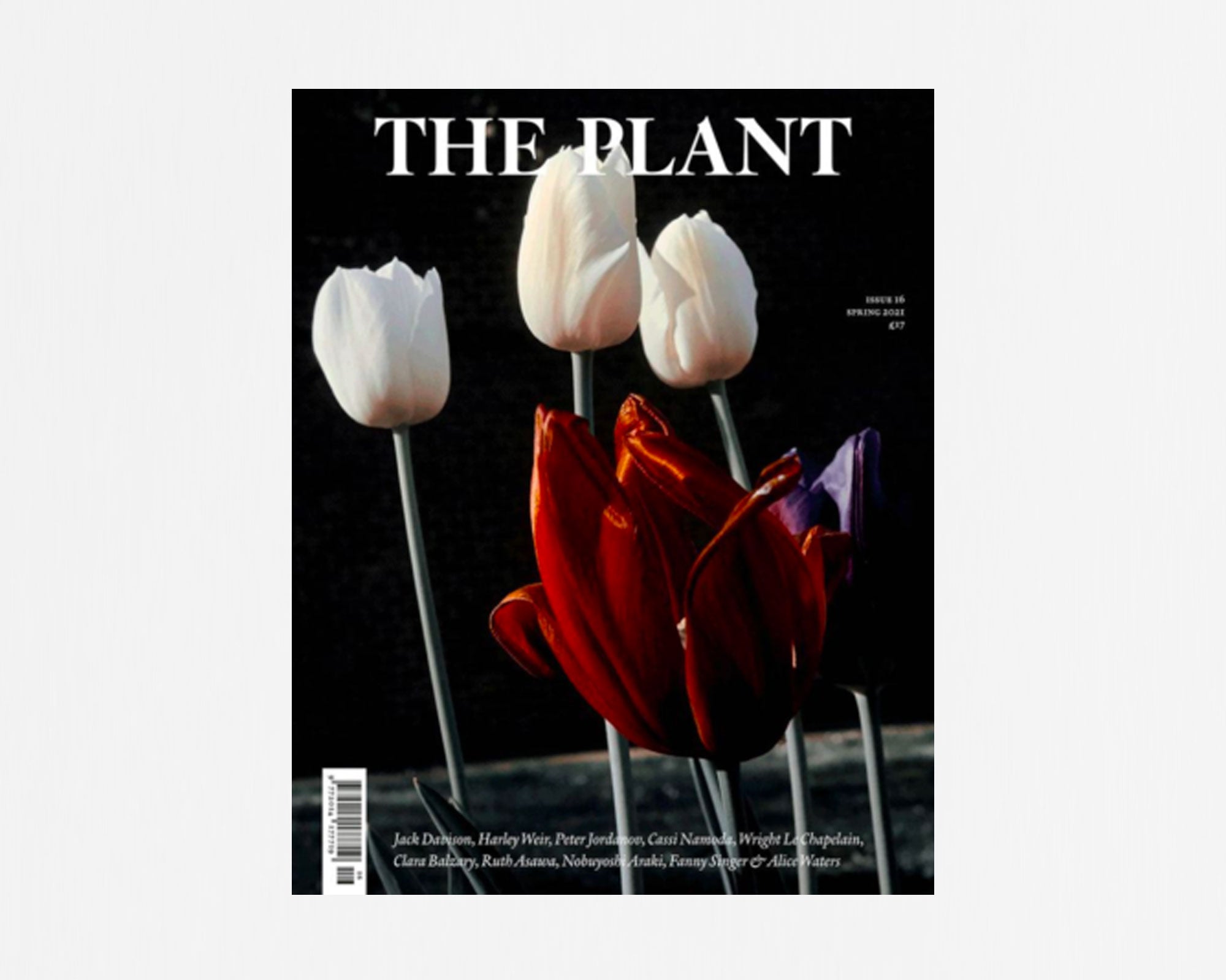 The Plant Magazine 16